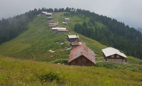 Karadeniz Turu 6. Durak Rize, Çamlıhemşin, Pokut Yaylası