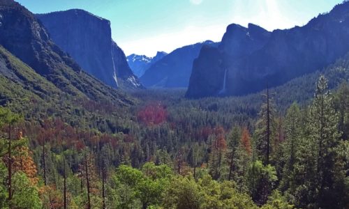 ABD – Araba ile Batı Yakası Turu 10. Durak Yosemite Milli Parkı