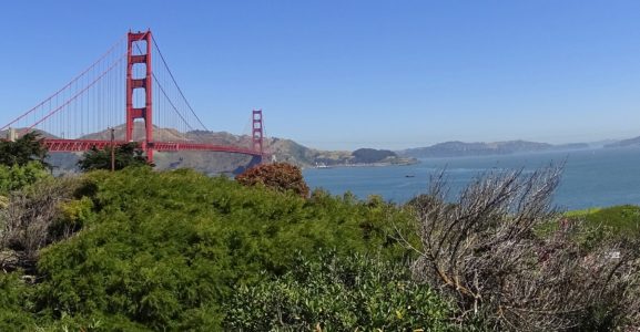 ABD – Araba ile Batı Yakası Turu 11. Durak San Francisco