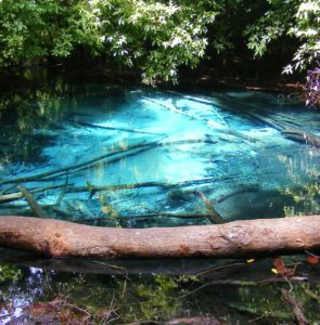 Zümrüt Havuzu (Emerald Pool) ve Doğal Kaplıcalar, Krabi
