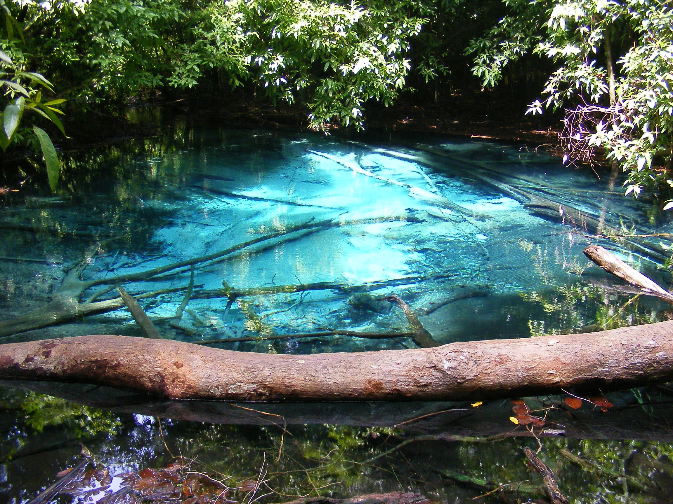 Zümrüt Havuzu (Emerald Pool) ve Doğal Kaplıcalar, Krabi