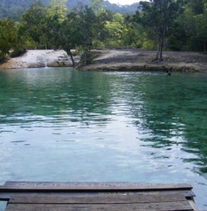 Sultan’la Tayland – Krabi, Zümrüt Havuzu (Emerald Pool) ve Doğal Kaplıcalar