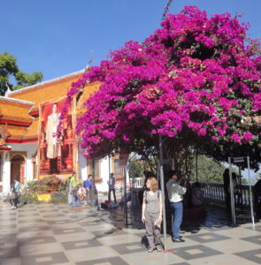 Chiang Mai Şehri ve Yeni Yıl Kutlamaları