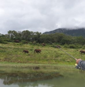 Royal Jozini, Eswatini – Swaziland 3. ve 4. Gün