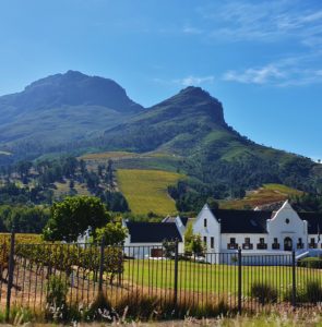 Cape Town – Üzüm Bağları, Stellenbosch ve Franschhoek